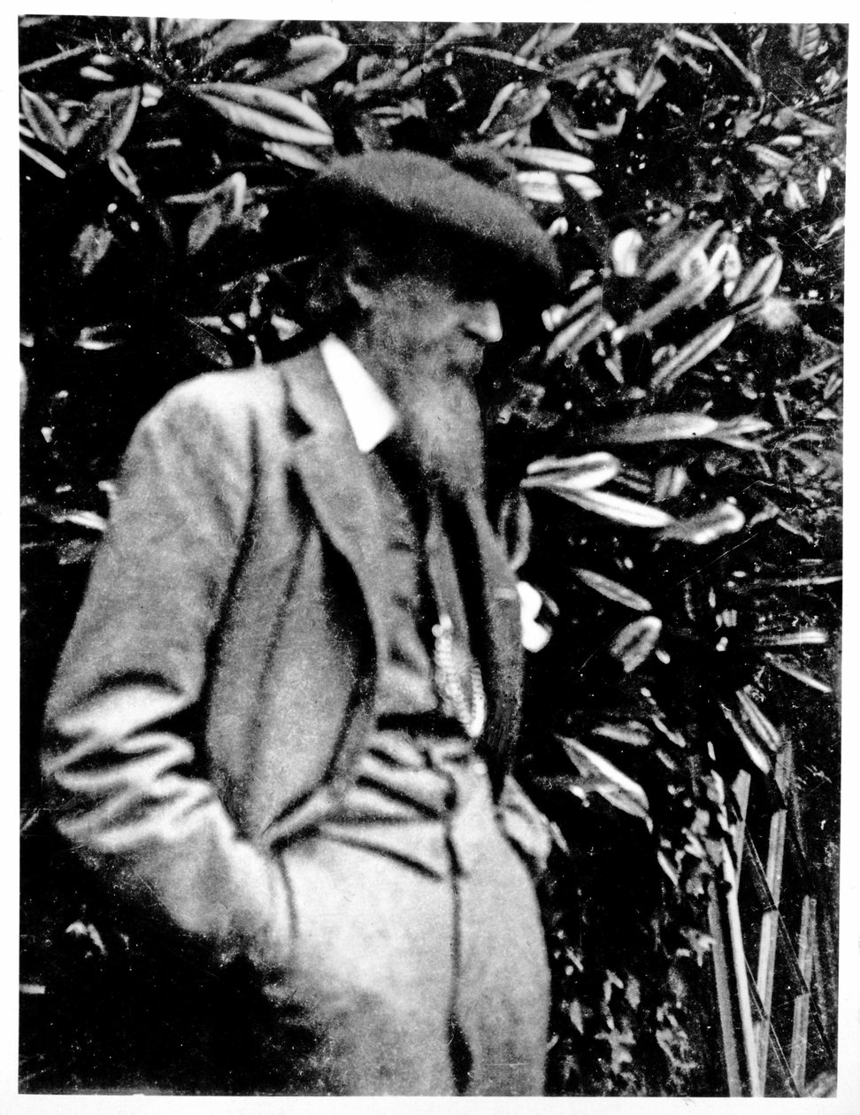 Leslie Stephen, 1900  by English Photographer