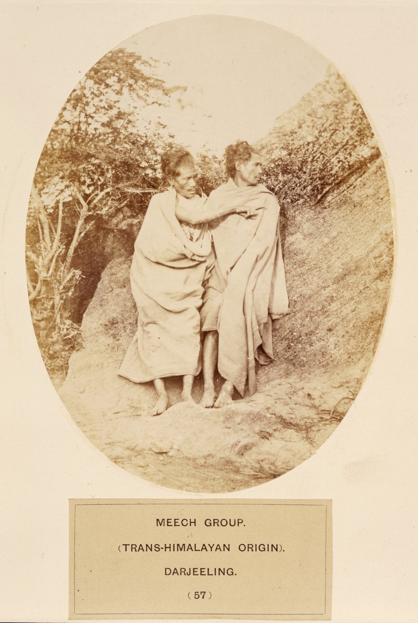 Meech Group (Trans-Himalaya Kökenli), Darjeeling, from The People of India, J. Forbes Watson, 1868