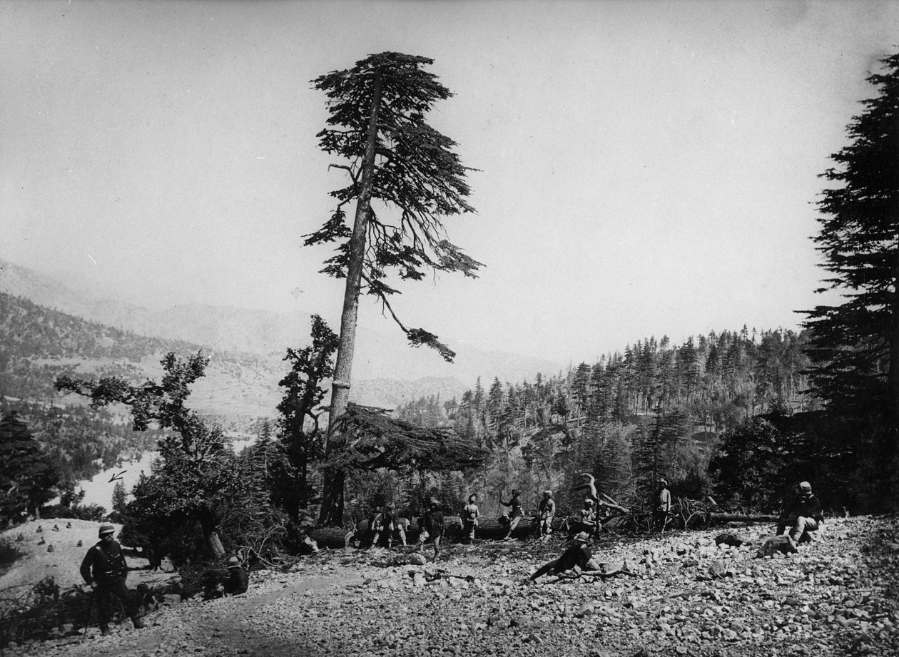 İkinci Anglo-Afgan Savaşı sırasında dinlenen yerli ve İngiliz askerleri, 1878-80 by English Photographer
