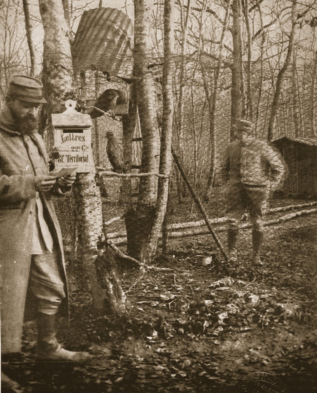 Fransız Lorraine Cephesinde: Bir Poilus Kampı Mektup kutusu ve akbaba maskotları, The Illustrated War News