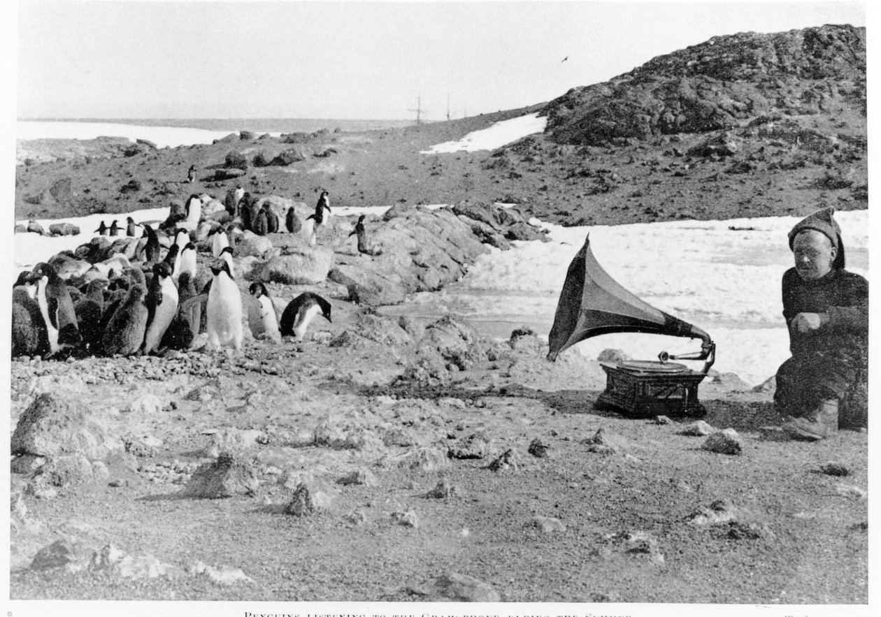 Shackleton