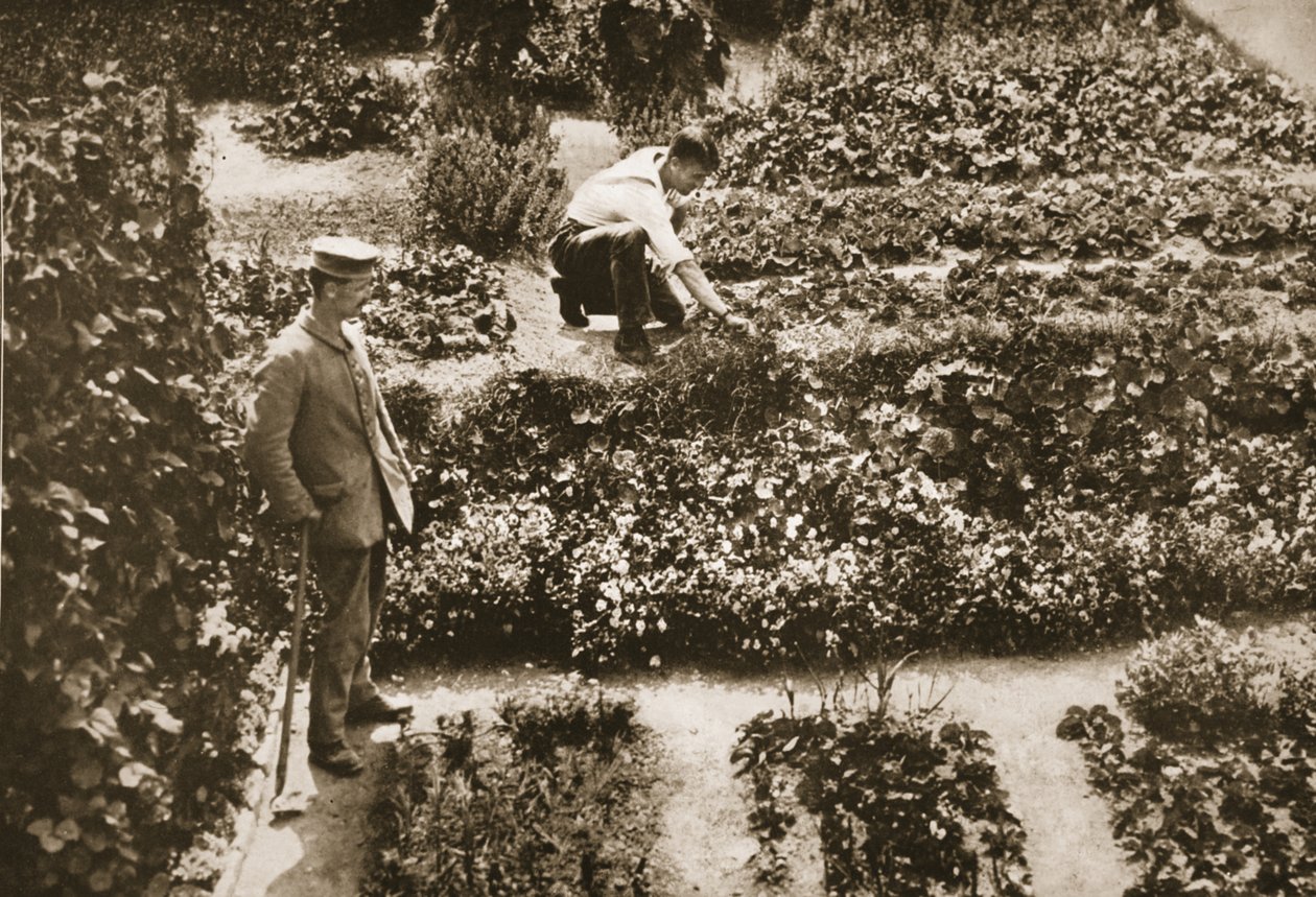 Mahkumlar Bahçeleri, Dorchester, Büyük Britanya