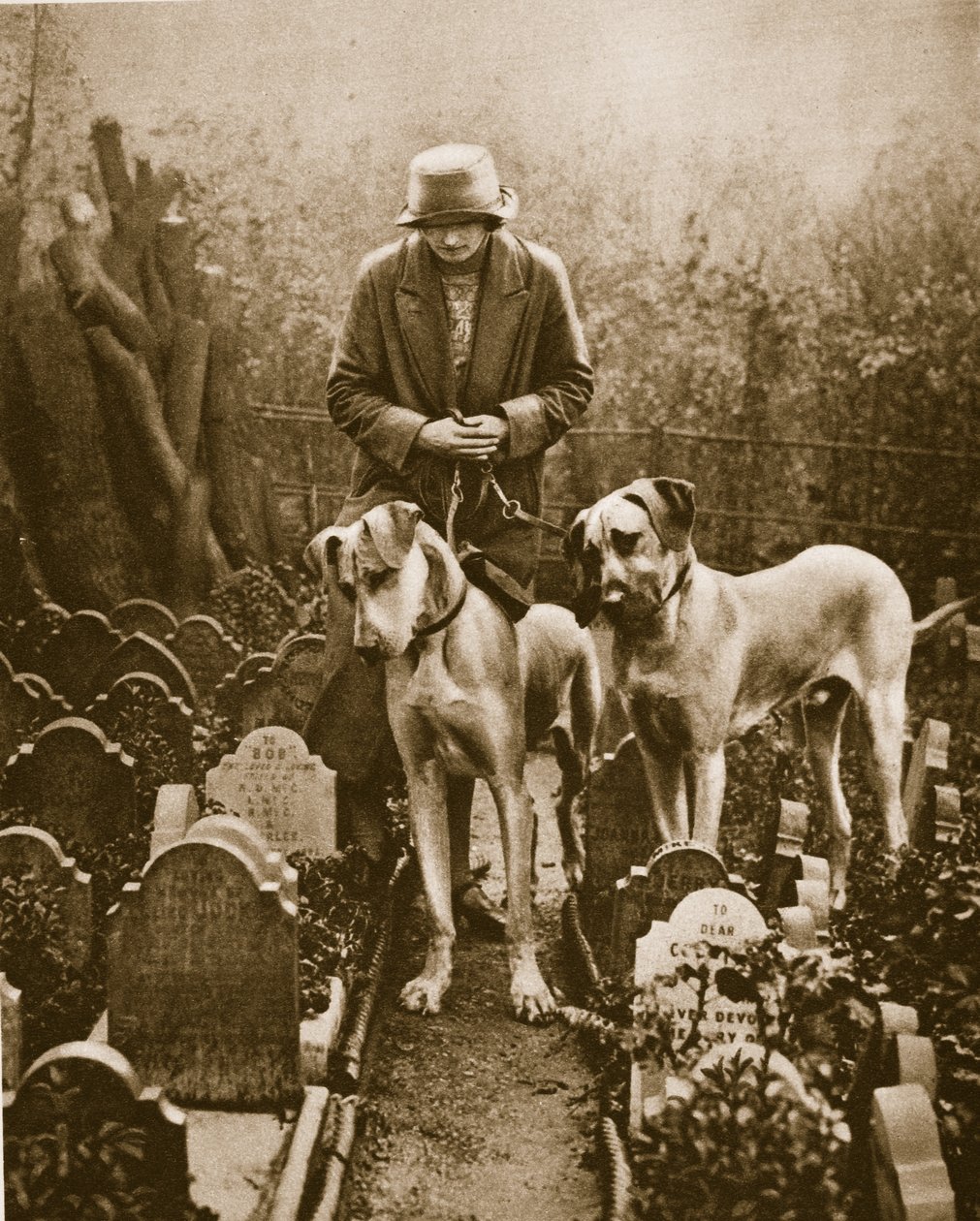 Bir köpek mezarlığında iki Danimarkalı, Victoria Kapısı, Marble Arch yakınında (sepya fotoğrafı) by English Photographer