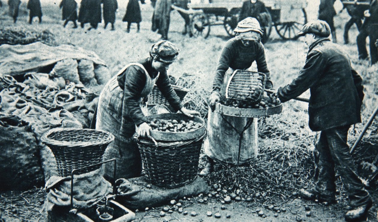 Karada savaşan kadınlar, The Illustrated War News