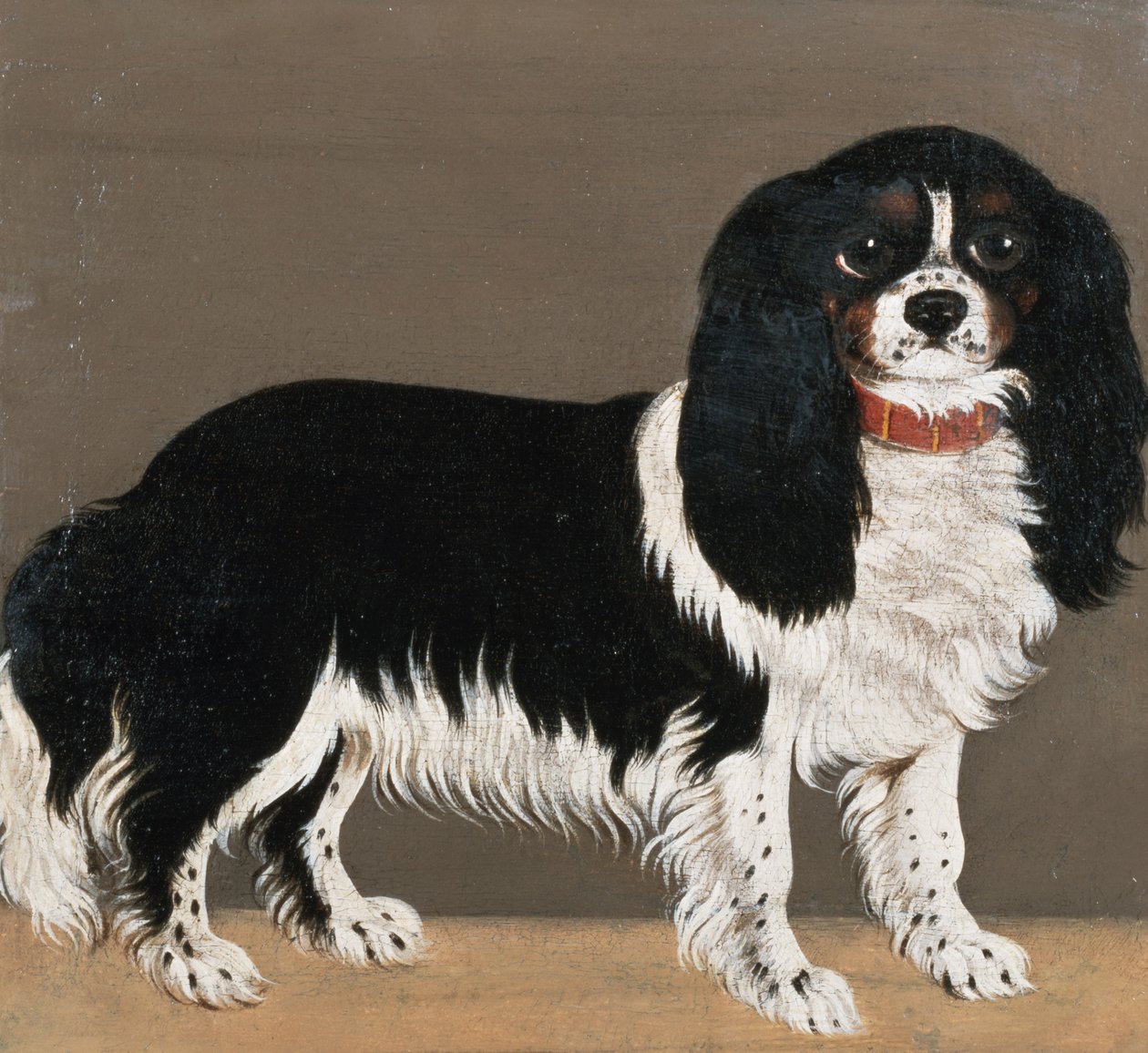 Bir Cavalier King Charles Spaniel (64045 çifti) by English School