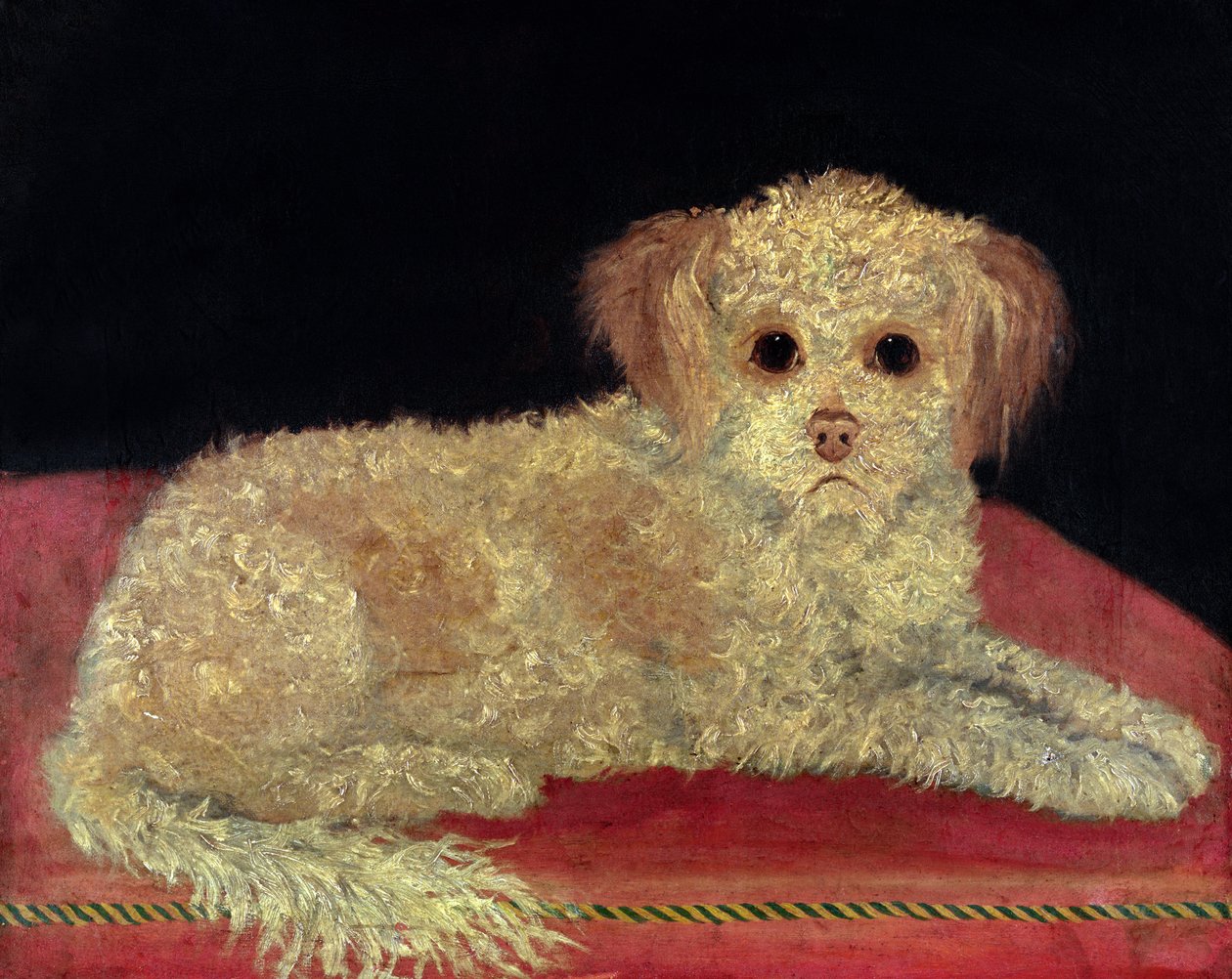 Kırmızı yastık üzerinde bir Terrier, İl Okulu by English School