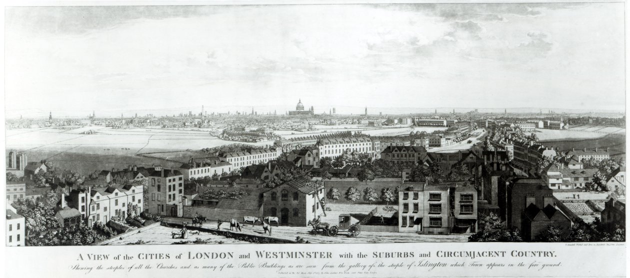 Banliyöler ve Çevresindeki Ülke ile Londra ve Westminster Şehirlerine Bir Bakış, 1789 by English School