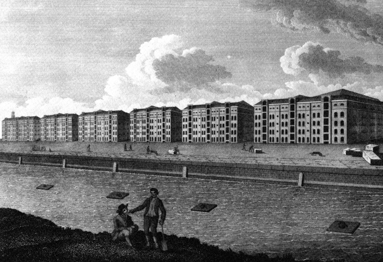 Depolardan Bir Görünüm ve Batı Hindistan Rıhtımı, 1803 by English School