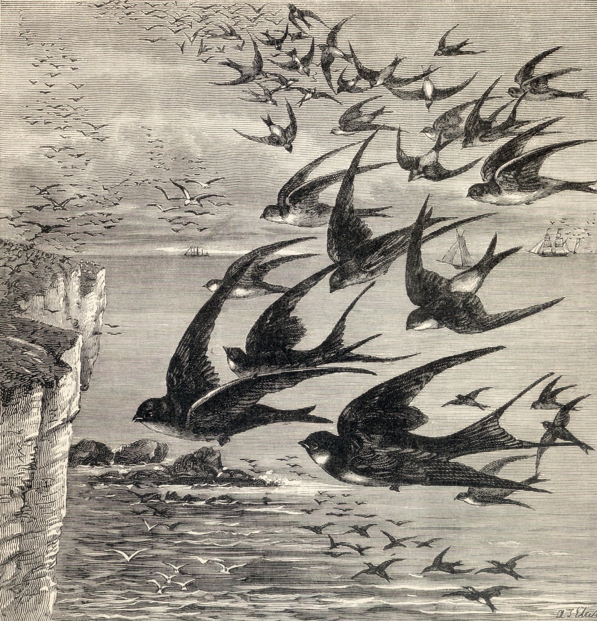 1885