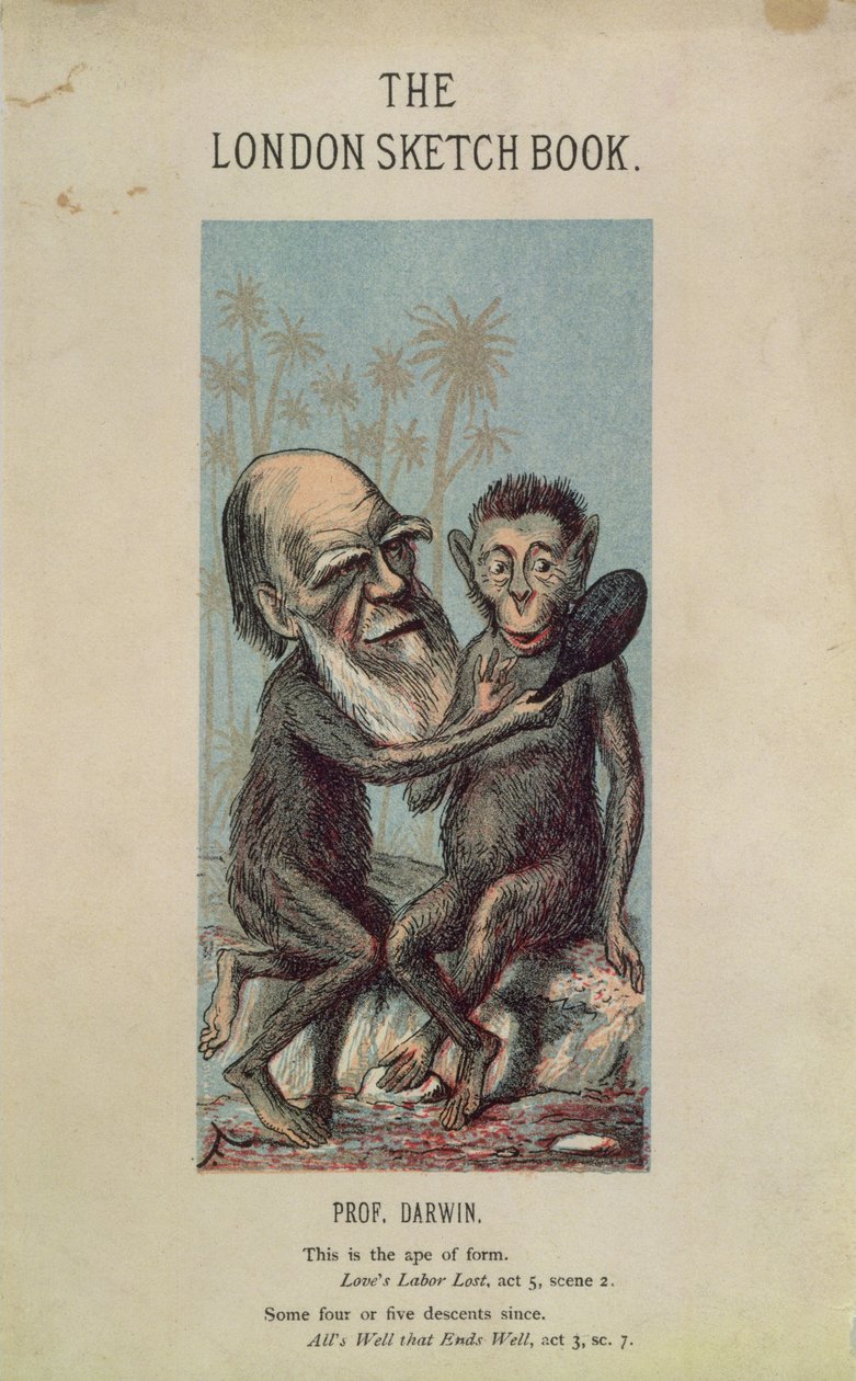 Darwin