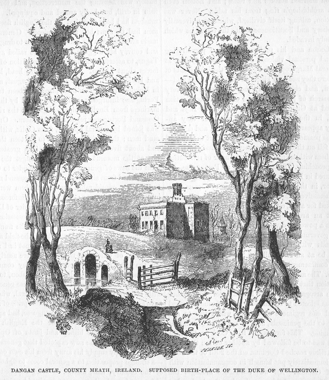 Dangan Kalesi, County Meath, İrlanda by English School