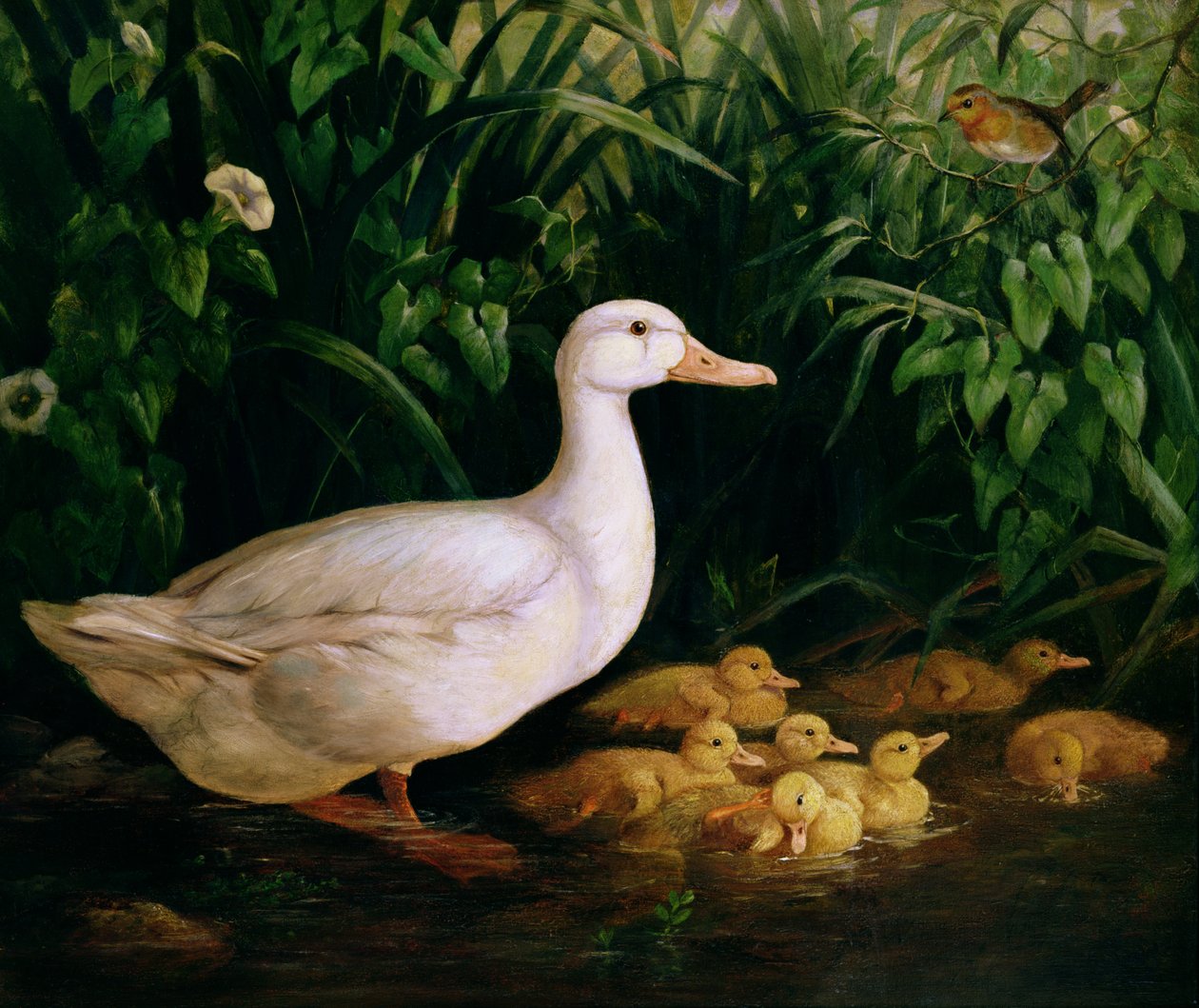 Ördek ve ördek yavrusu, 1890 dolayları by English School