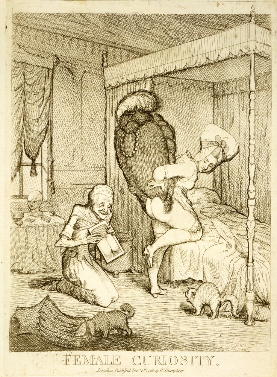 Kadın Merakı, 1778 by English School