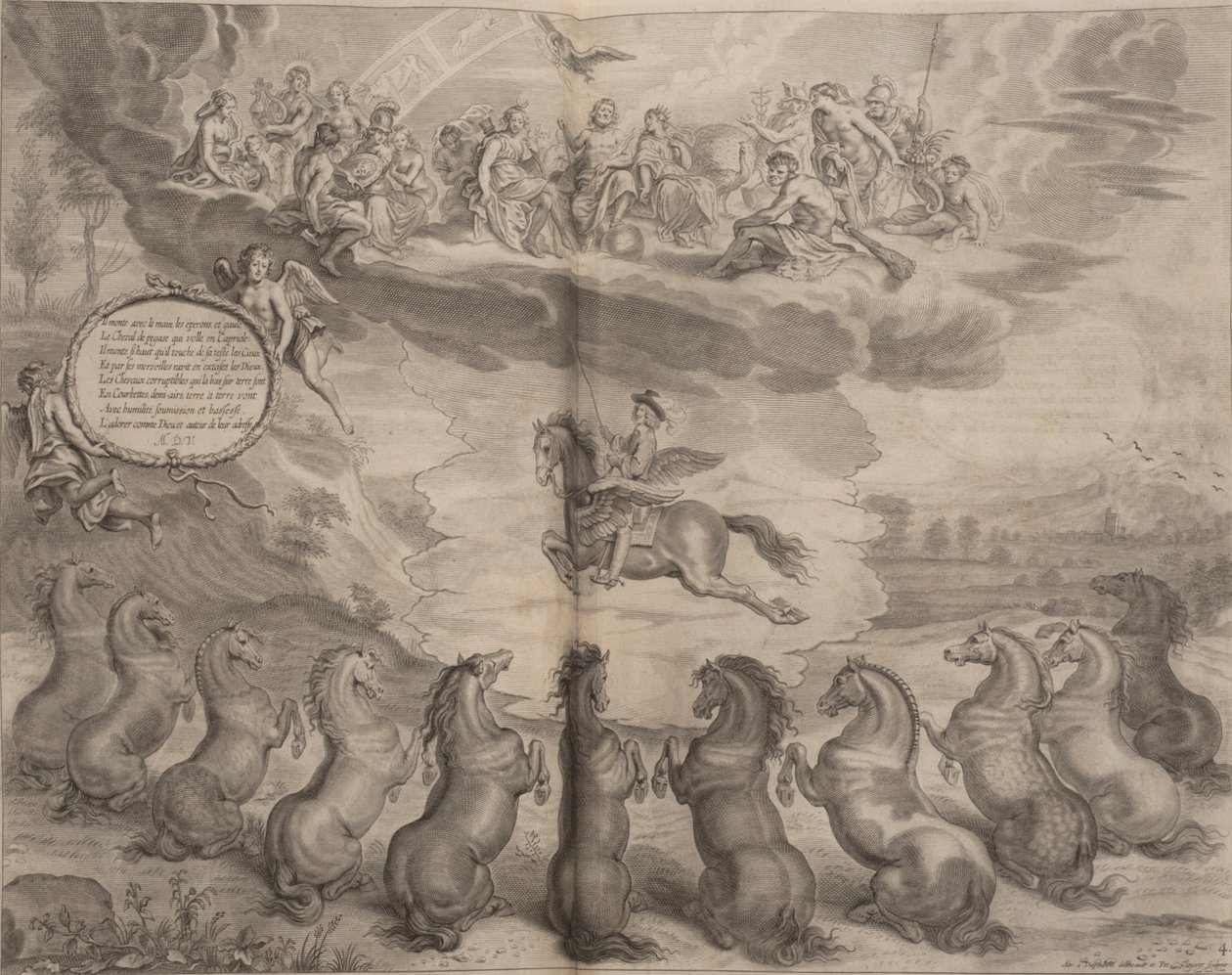 A General System of Horsemanship