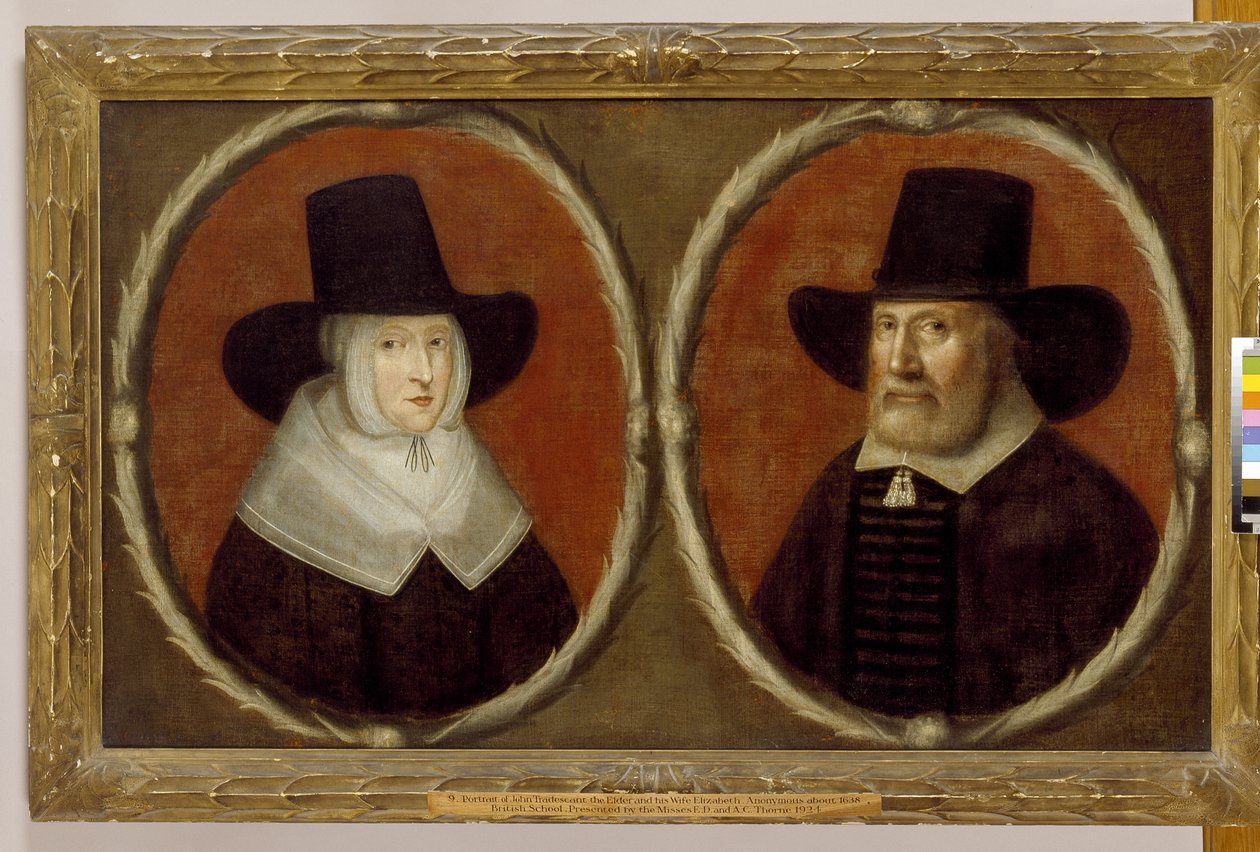Yaşlı John Tradescant ve Karısı Elizabeth, 1656 by English School