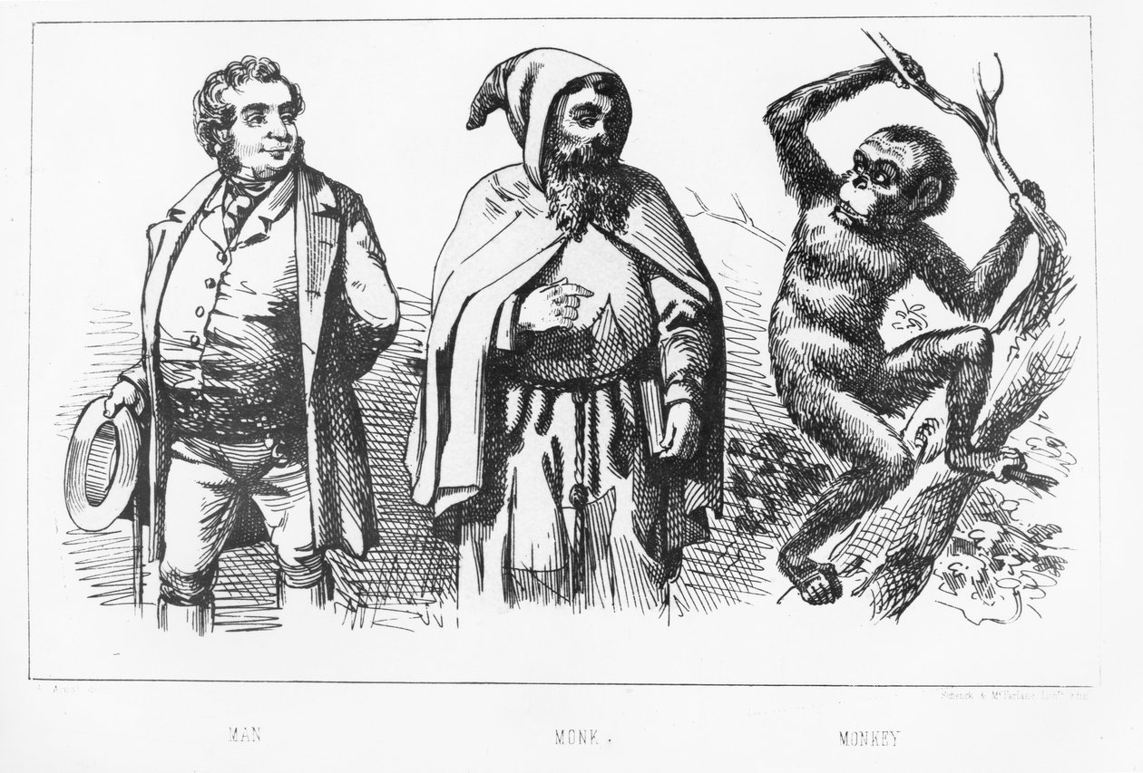 adam, maymun, maymun by English School