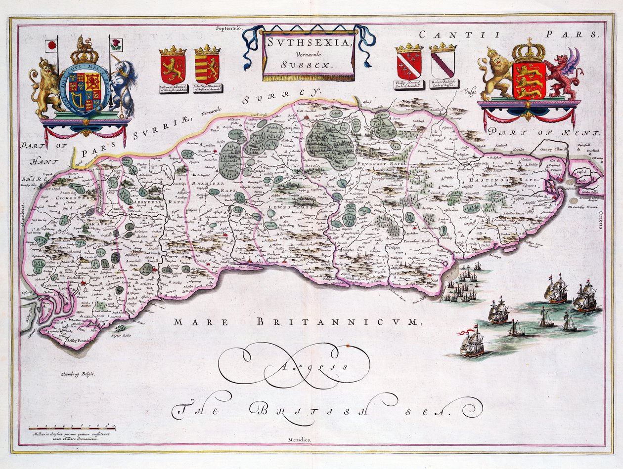Sussex Haritası (el renkli gravür) by English School