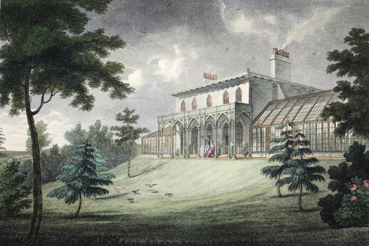 Ağrı Dağı, Wimbledon, pub. C. 1828 (el renkli gravür) by English School