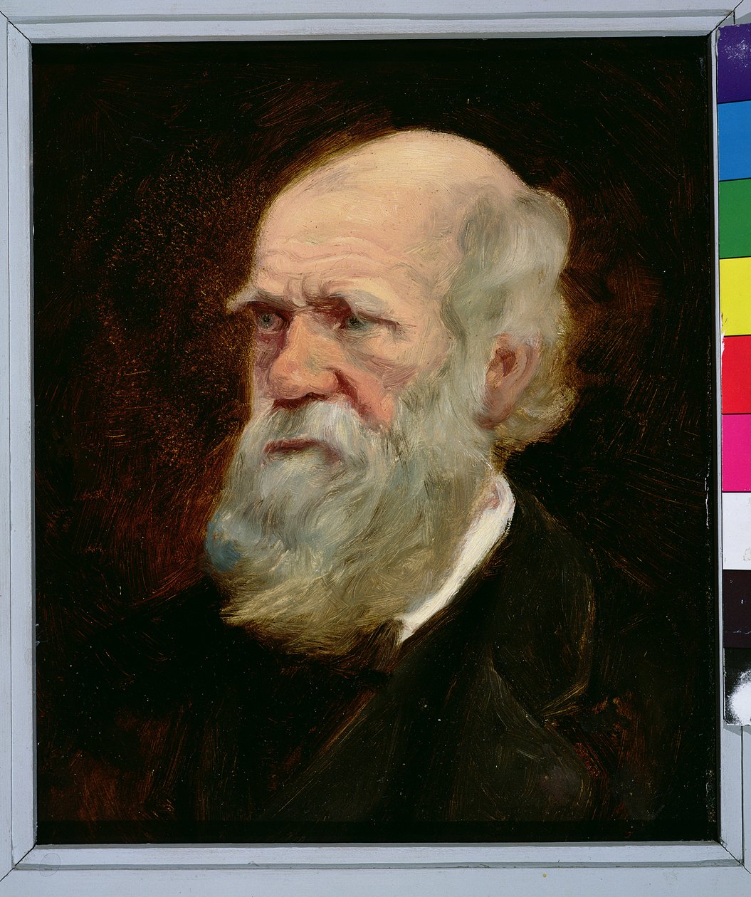 Charles Robert Darwin