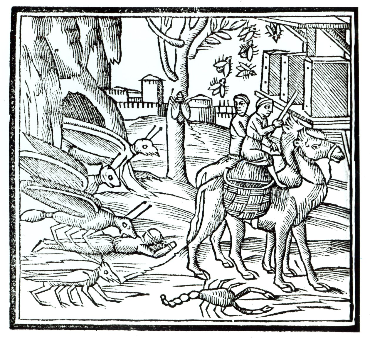 Vebanın Temsili, 1572 by English School