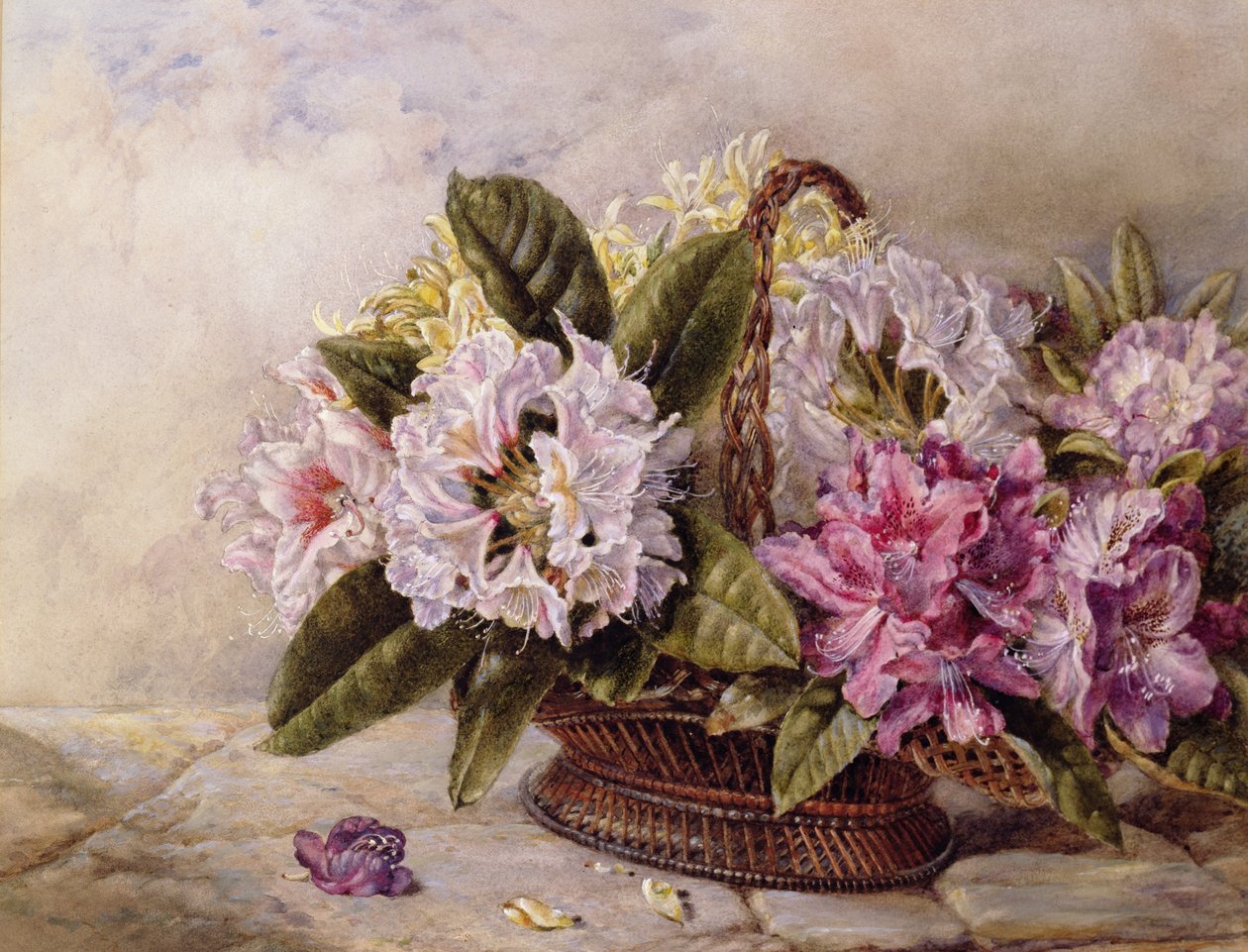 orman gülleri by English School