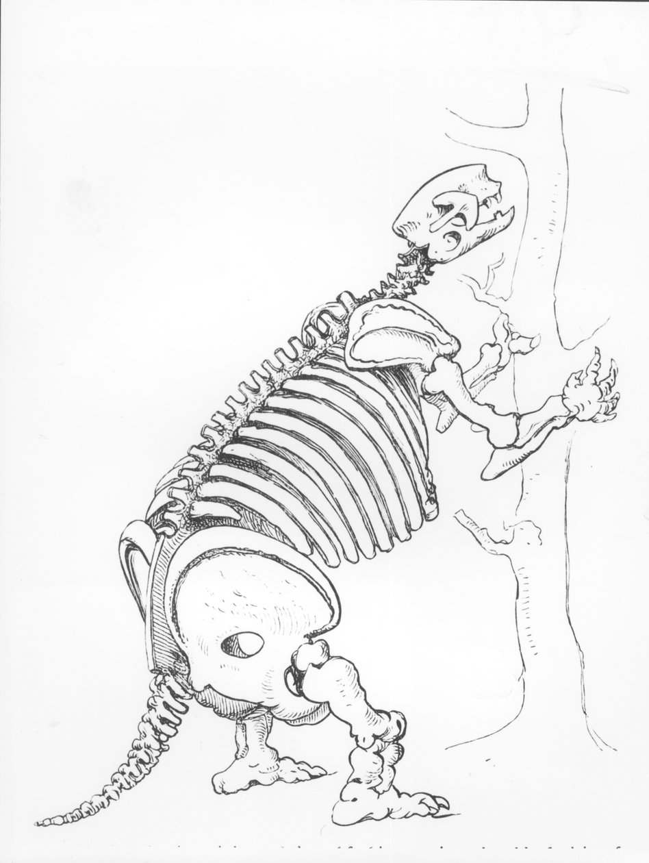 Bir Mylodon İskeleti by English School
