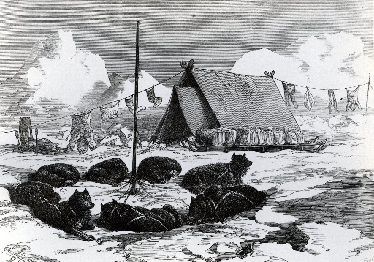Kızakla Seyahat: Kamp yaparken köpekleri bağlama yöntemi, 1876 by English School