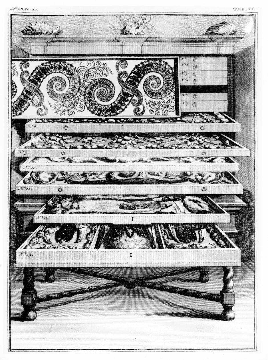 Levin Vincent (1658-1727) 1719 tarafından hazırlanan 