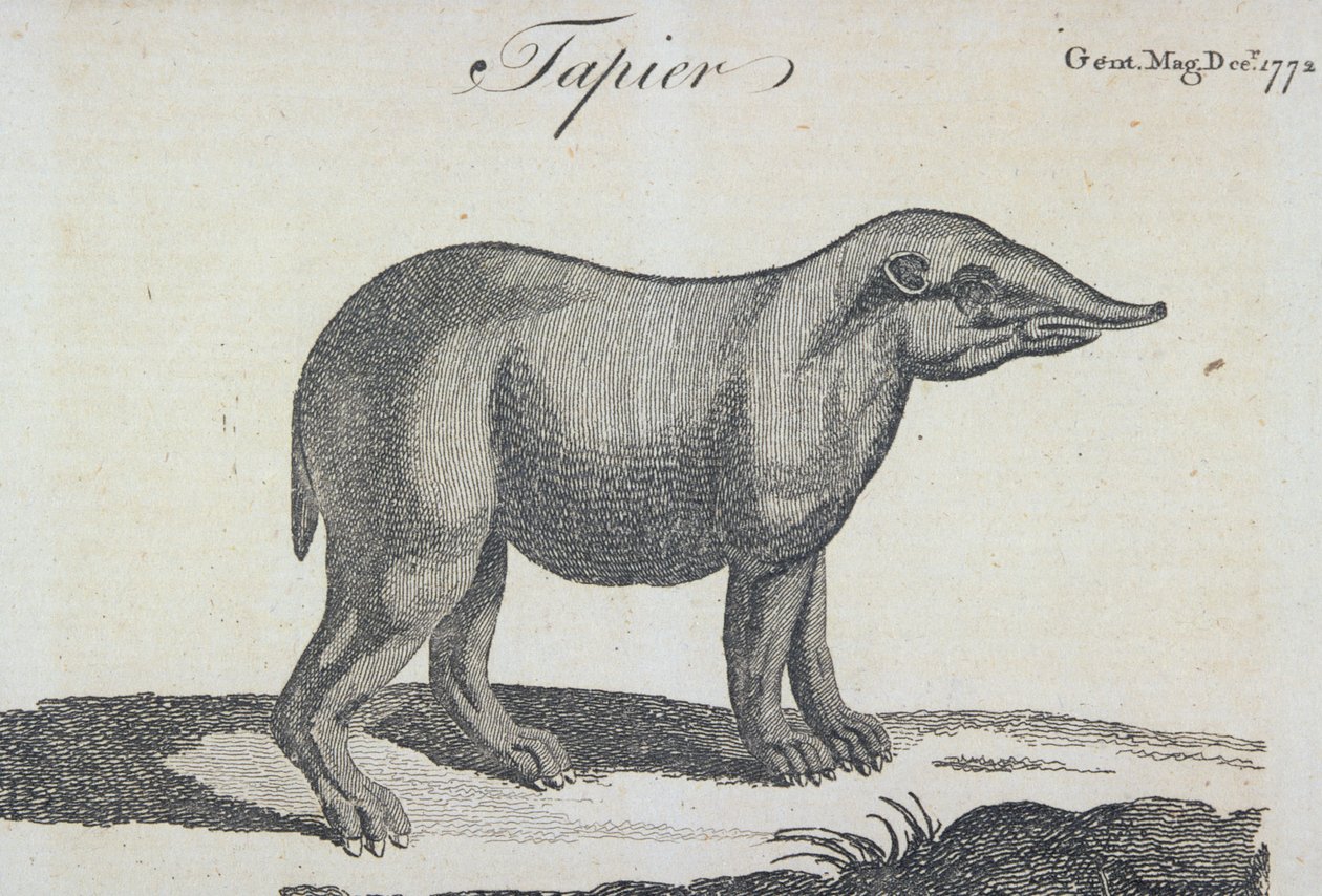 Aralık 1772