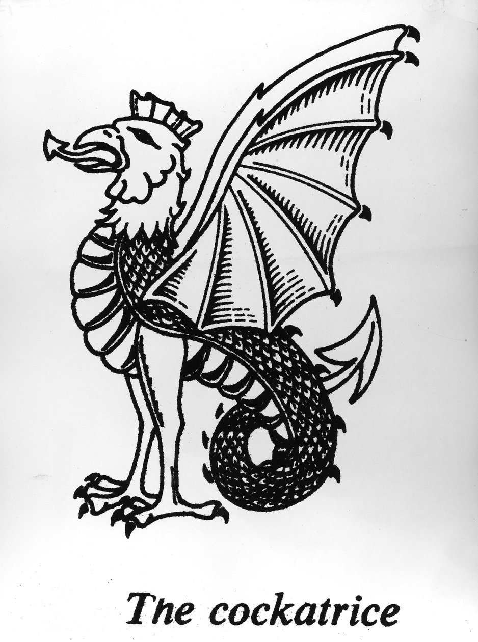 The Cockatrice  by English School