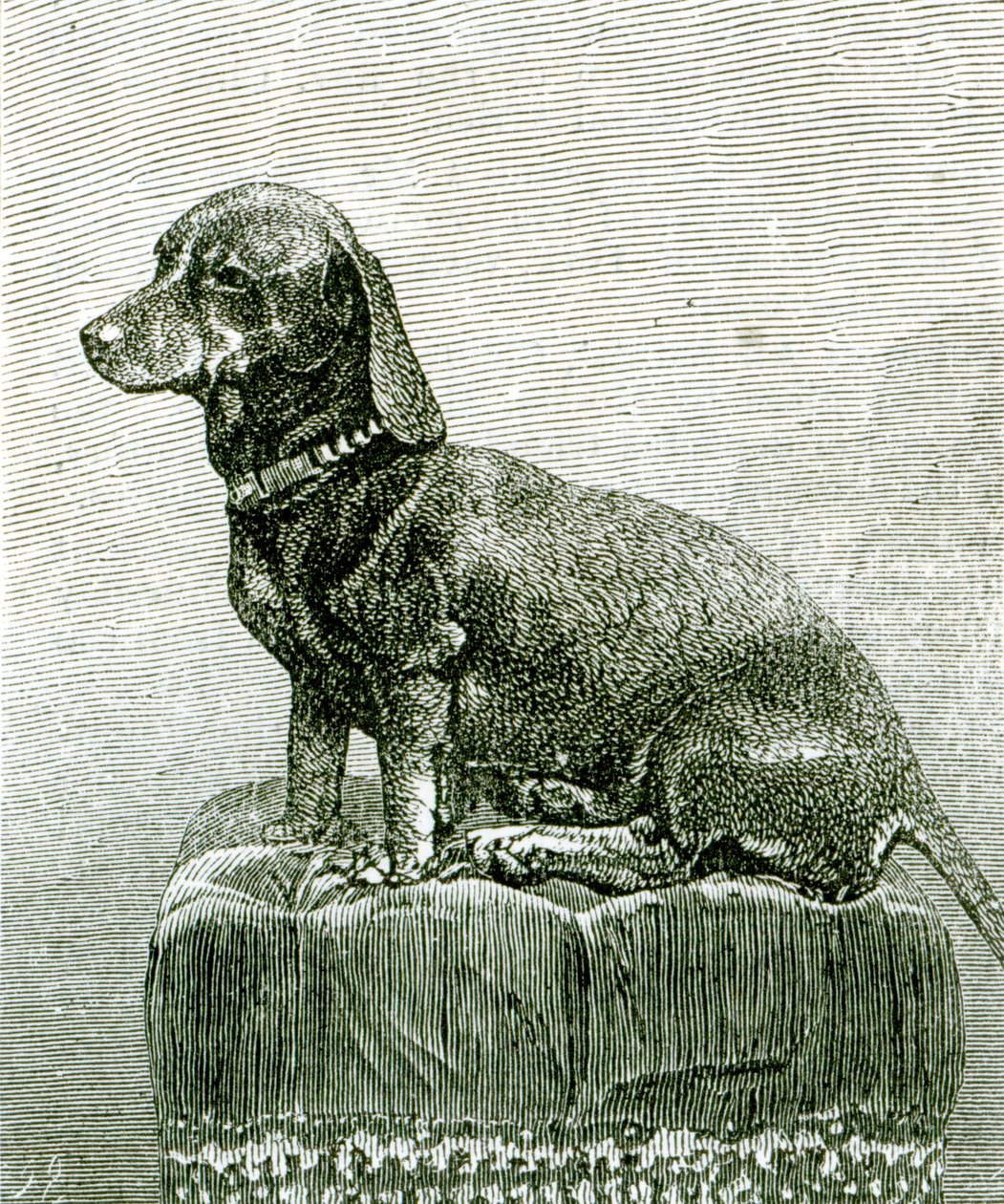 The Illustrated London News