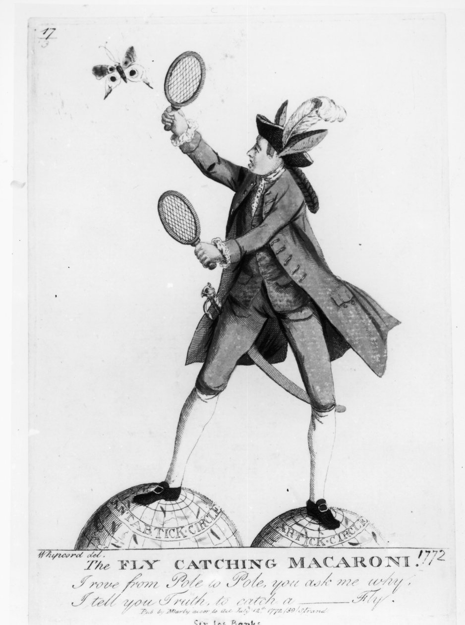 The Fly Catching Macaroni, engraved by Whipcord, pub. by N. Darly, 12 July 1772   by English School