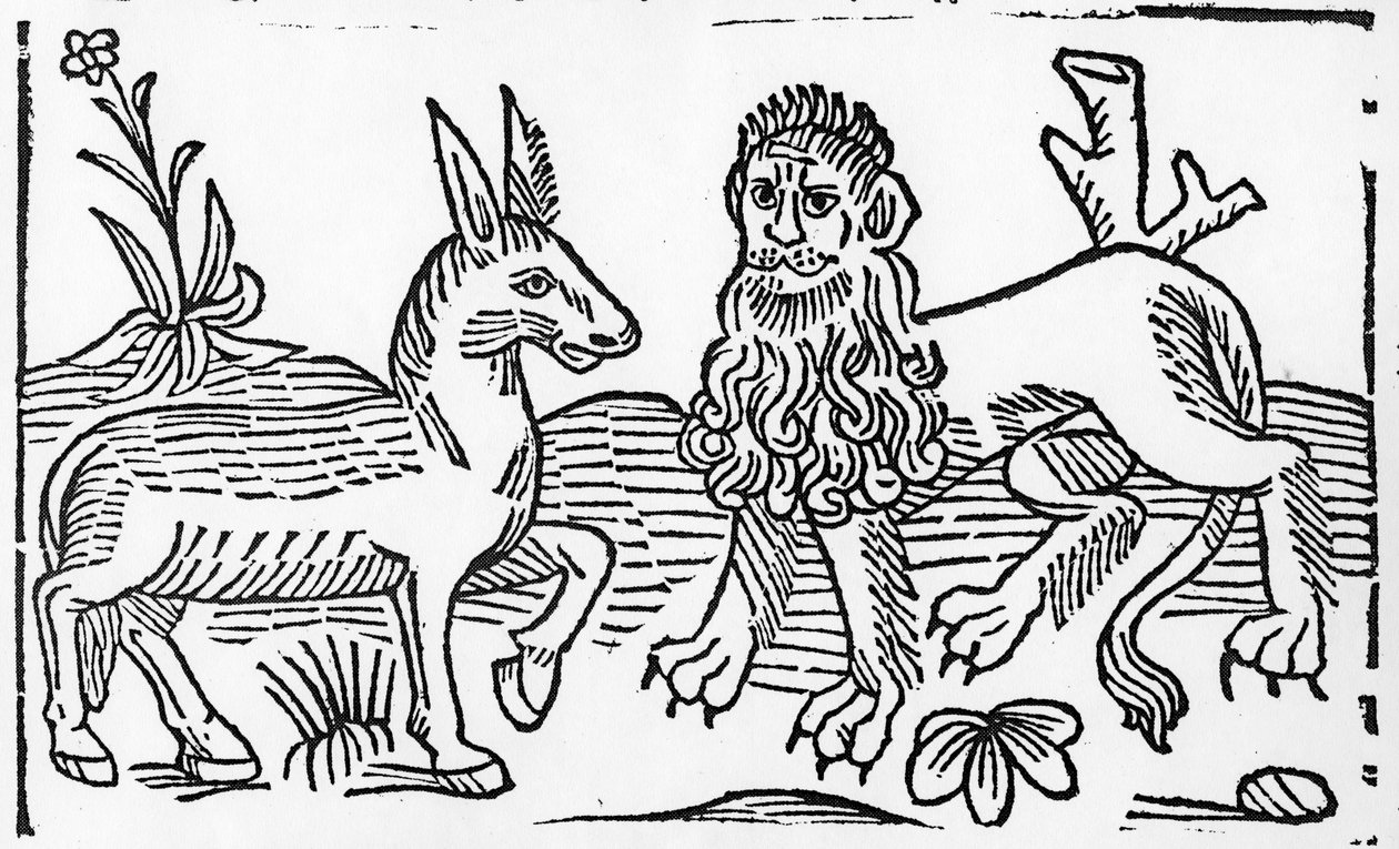 Aslan ve Eşek, Caxton