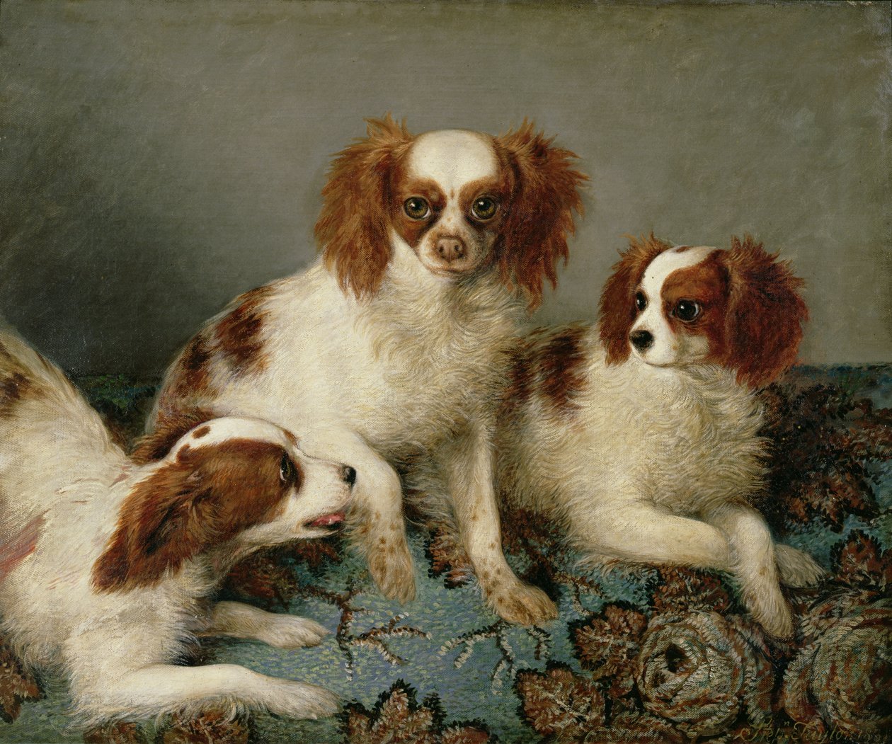 Bir Halının Üzerinde Üç Cavalier King Charles Spaniel by English School