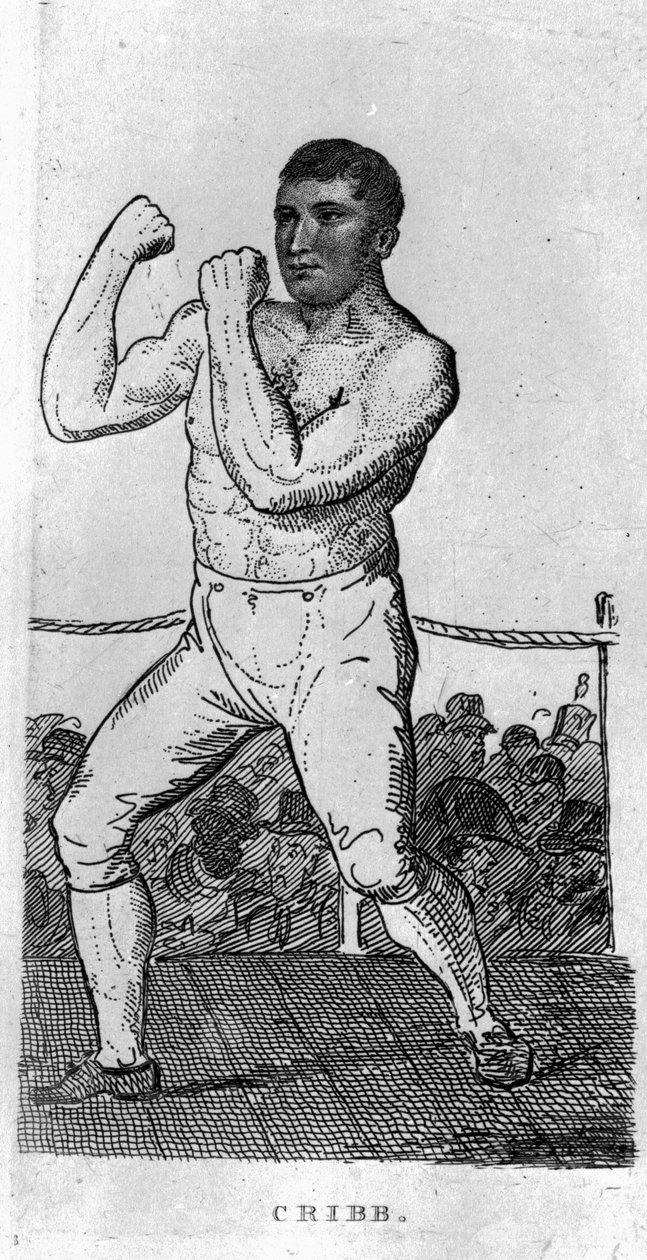 Tom Beşik by English School