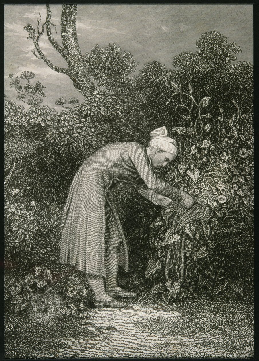 William Cowper (1731-1800) by English School