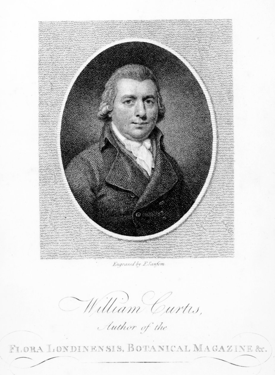 William Curtis, F. Sansom tarafından kazınmış, 1790 by English School