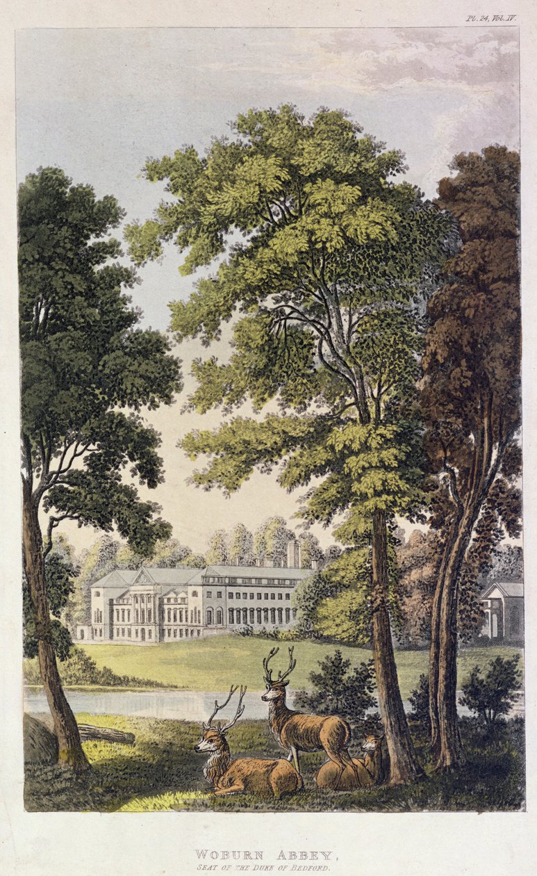 Woburn Manastırı, Ackermann