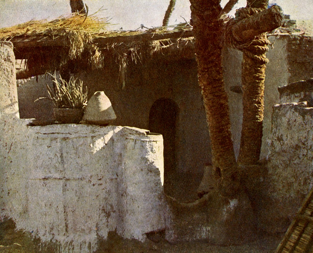 Bir Fellahin