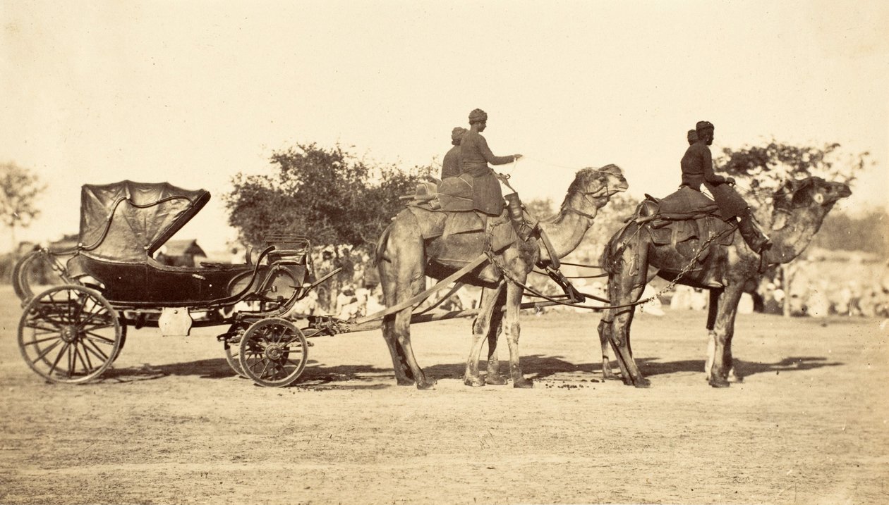 Deve Arabası, c.1860 (fotogravür) by English Photographer