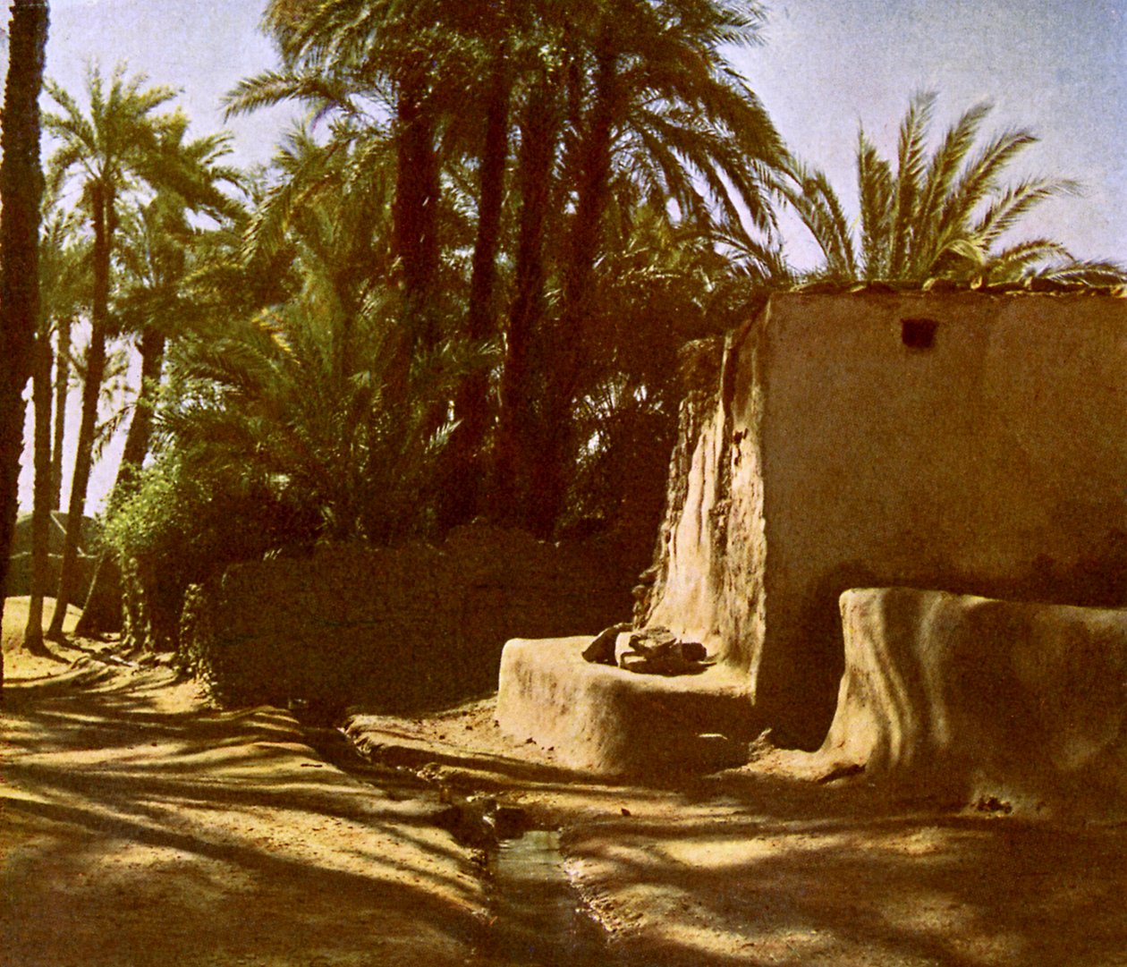 Mısır -Karnak by English Photographer