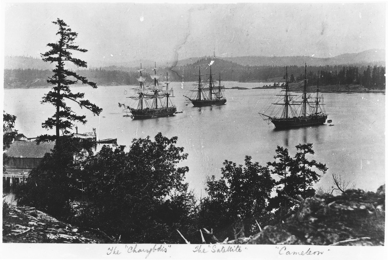 HMS Charybdis, HMS Uydusu ve HMS Cameleon, Esquimalt Kraliyet Donanması Tersanesi, Britanya Kolumbiyası, c.1880