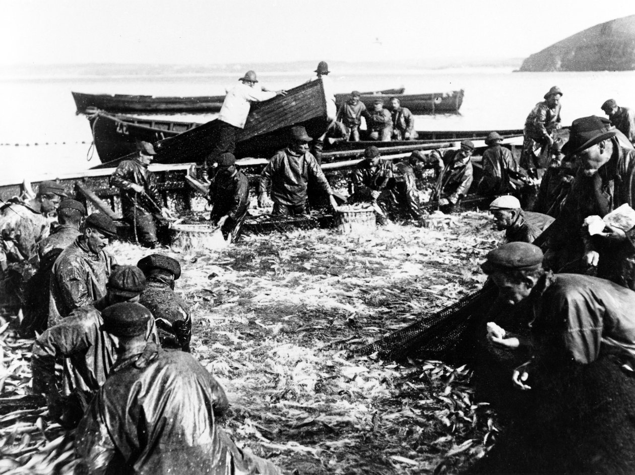 Ringa Avı, 1890 dolayları by English Photographer