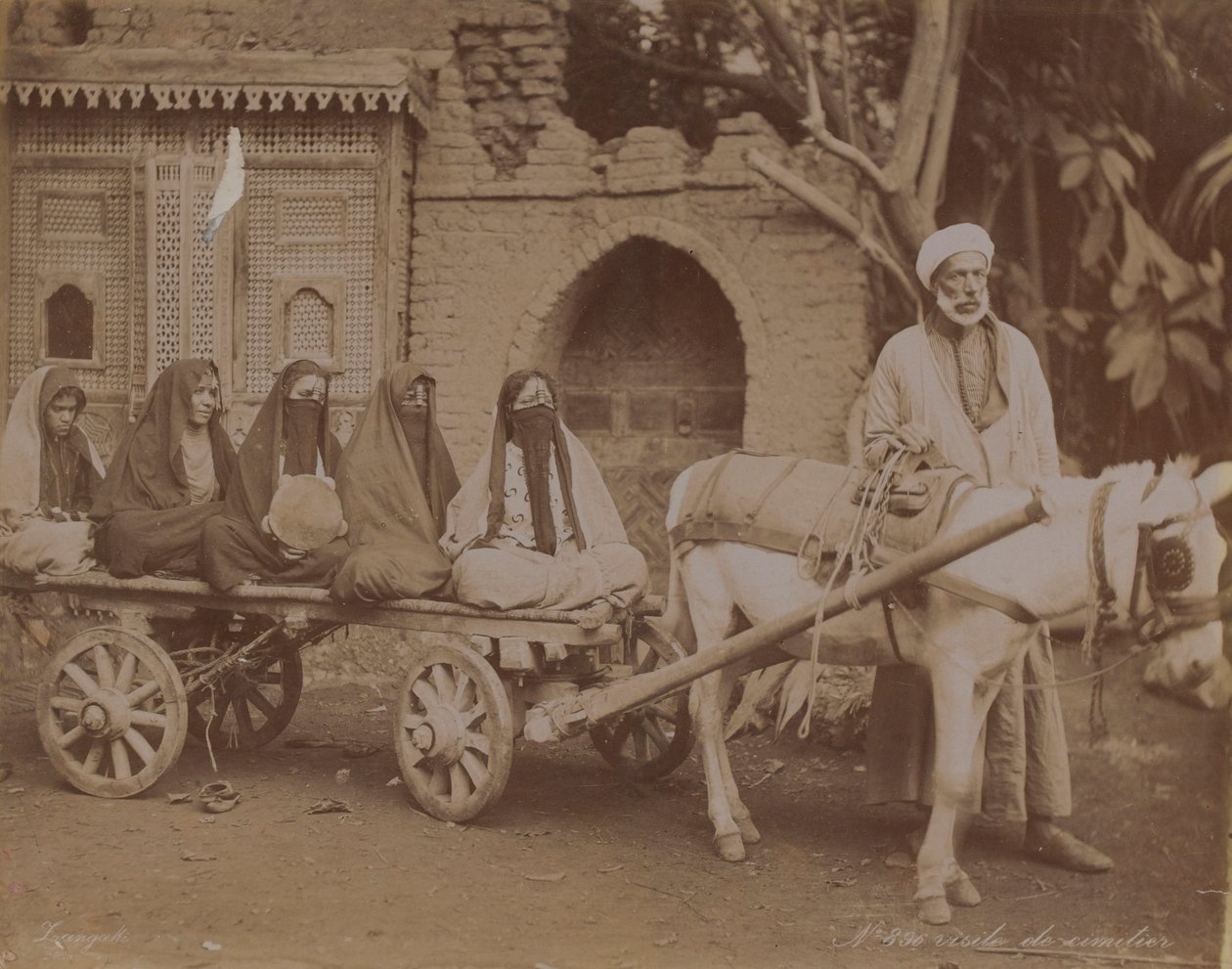 Atlı Araba, Kahire, 1893 by English Photographer
