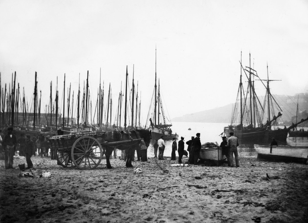 St Ives Limanı Carbis Körfezi