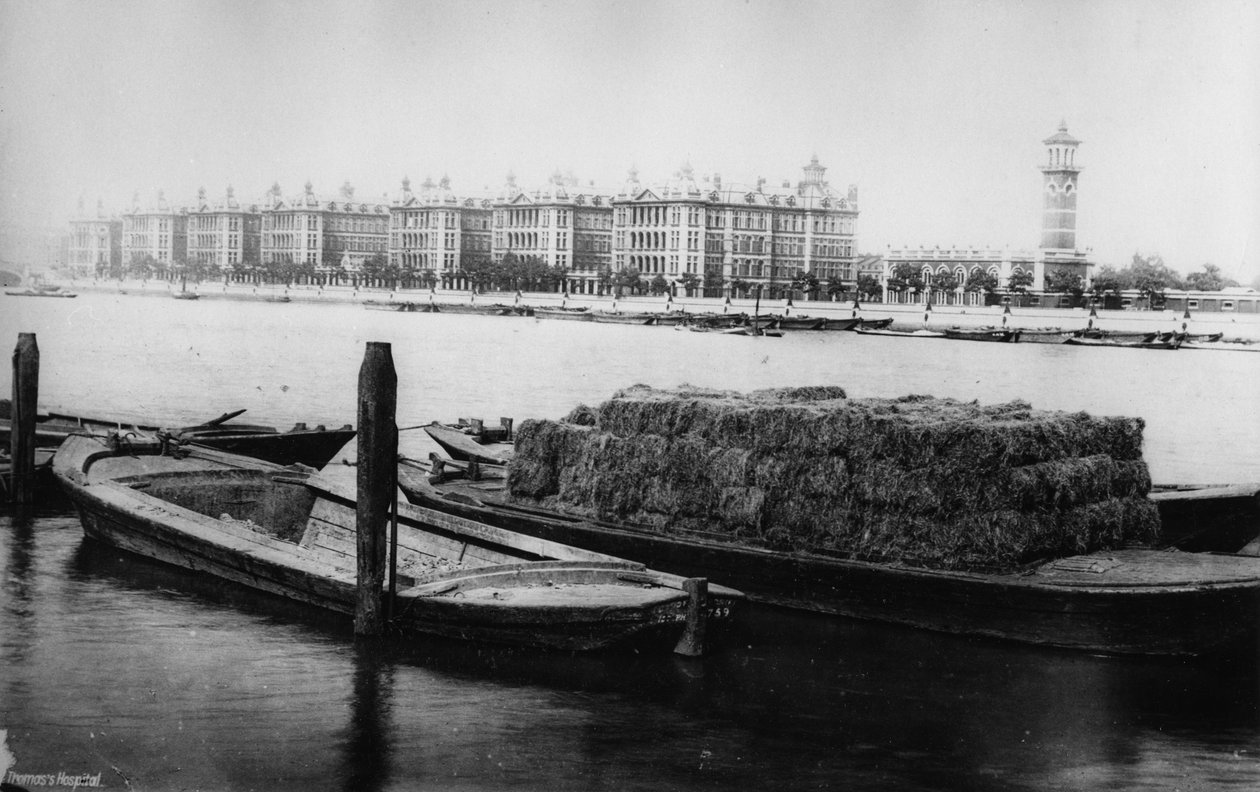 St Thomas Hastanesi, Albert Embankment, 19. yüzyılın sonları by English Photographer