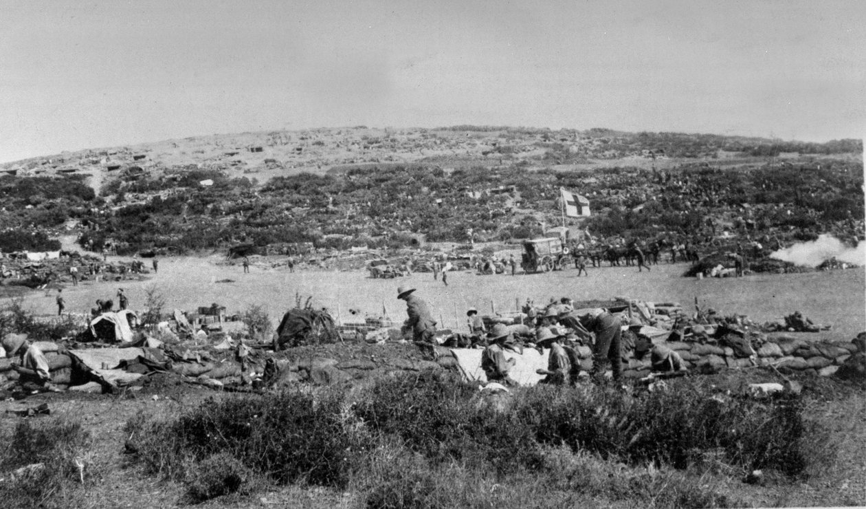 Suvla Koyu, Gelibolu, Çikolata Tepesi, 1915 dolayları by English Photographer