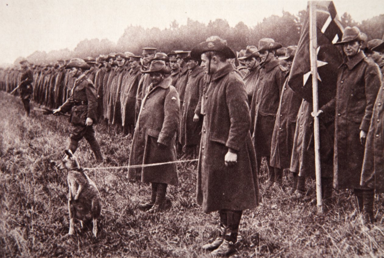 Salisbury Ovası üzerine Anzak incelemesi: Avustralyalı bir maskot, The Illustrated War News