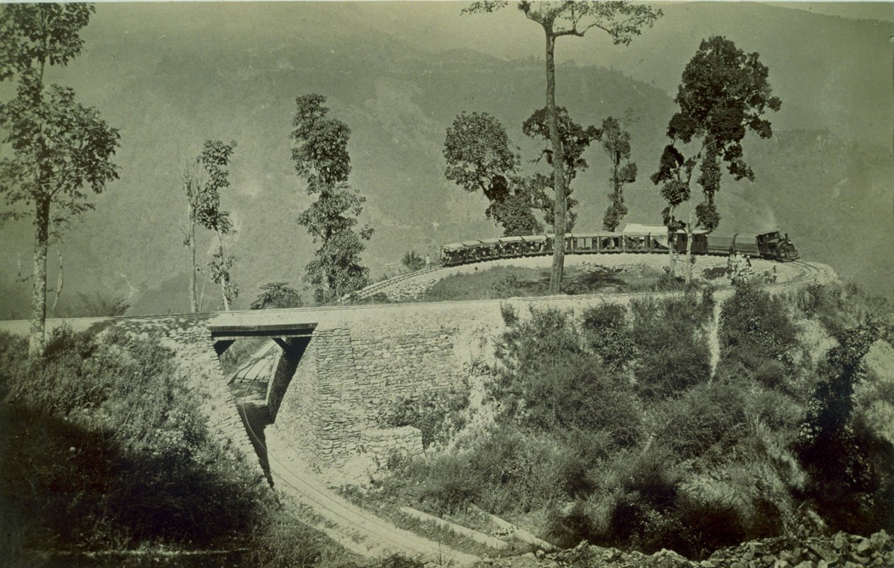 Darjeeling Himalaya Demiryolu üzerindeki Tindharia