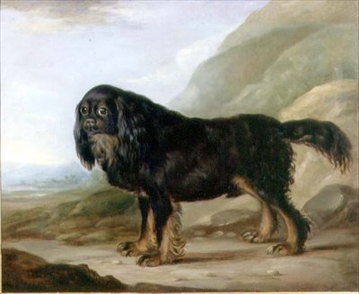 Bir Manzarada Bir Kral Charles Spaniel by English School